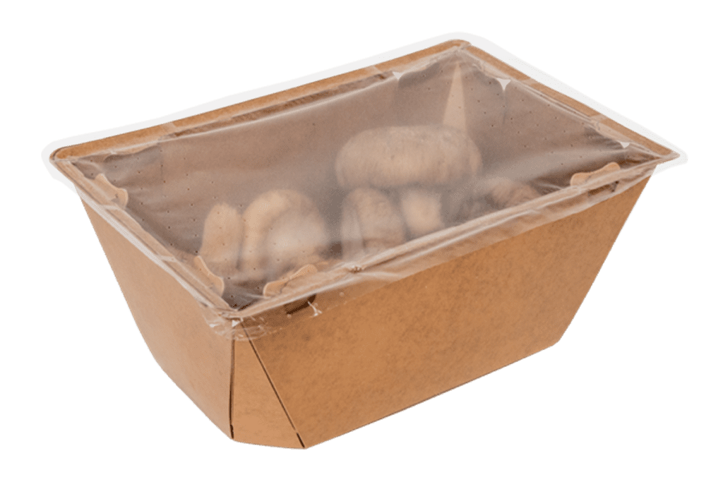 La société Smithy Mushrooms s'est associée à Graphic Packaging International pour créer des barquettes plateaux ProducePackᵐᶜ à base de fibres pour ses champignons exotiques.